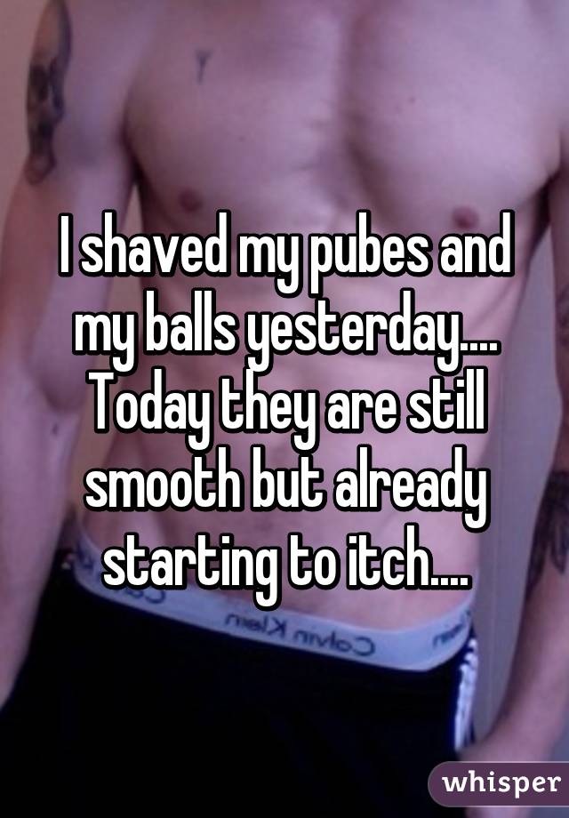 best of Itch Shaved balls