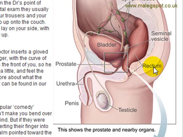 Endzone reccomend Male orgasm prostate