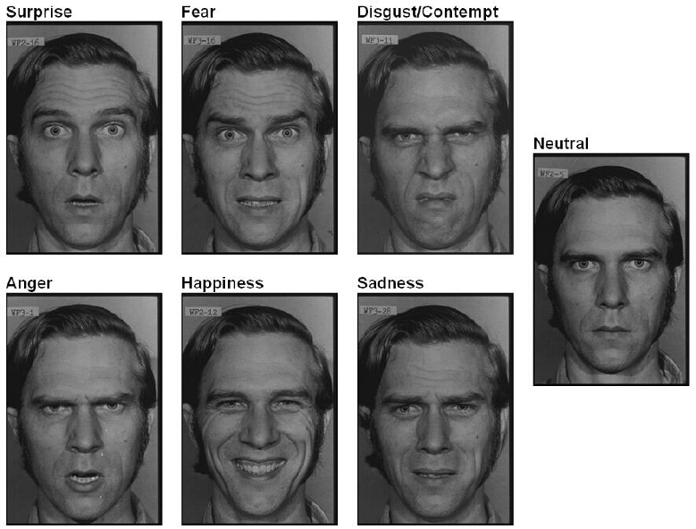 Expression facial universal
