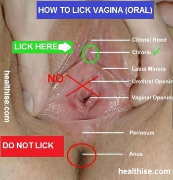 Bomber reccomend Guide to clit licking