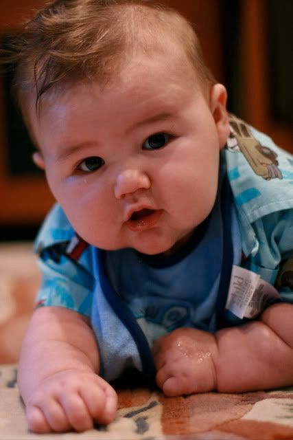 best of Chubby babies Fat
