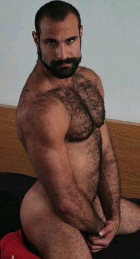 Meat reccomend Black gay hairy asshole pictures