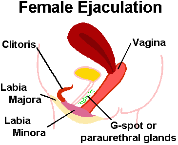 FLAK reccomend Vaginal tightness during sex