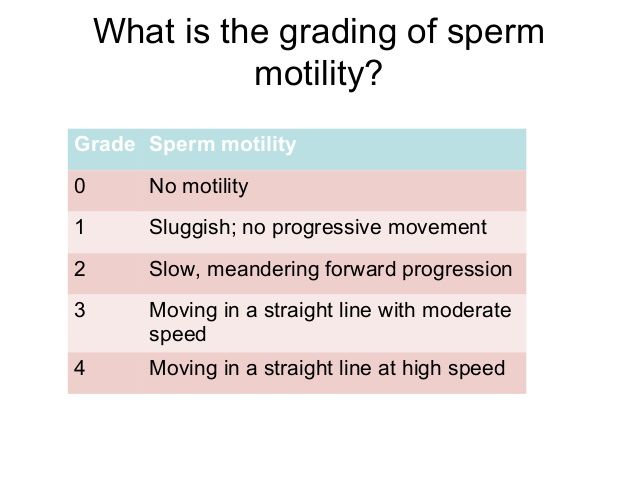Sperm motility morphology - Porn archive