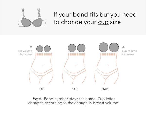 Fendi reccomend Boob cup size
