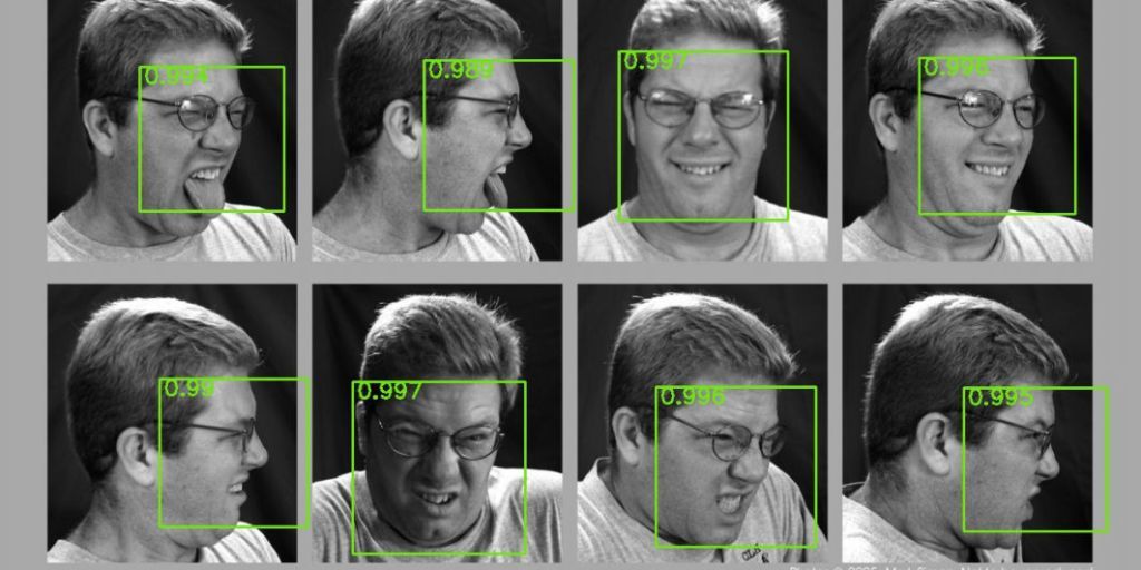 Gr8 B. reccomend Facial recognition algorithms