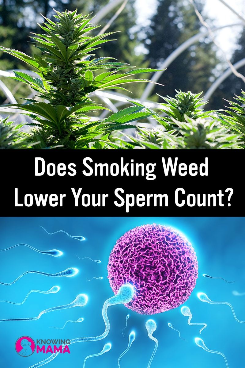 best of Count lowers sperm Smoking weed