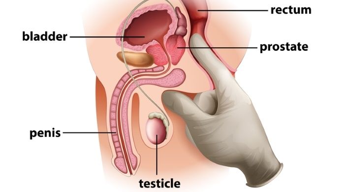 Male orgasm prostate