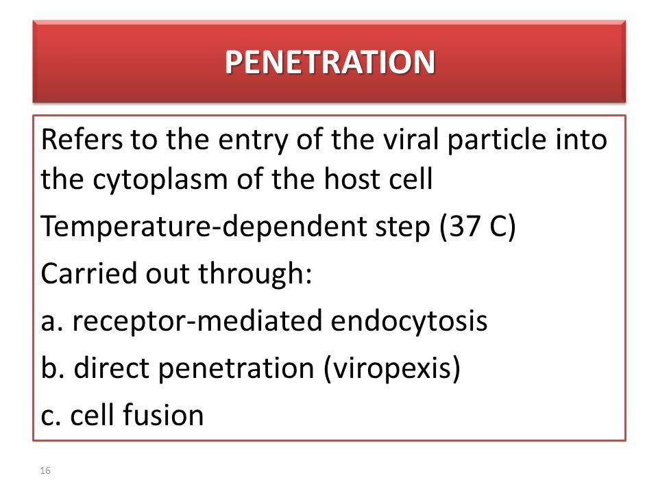 Receptor mediated direct penetration virus