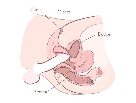 best of Hit prostate orgasm deep Penetrate