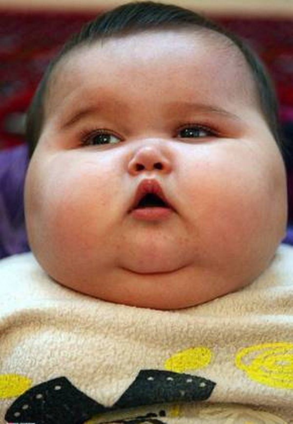 Buzz reccomend Fat chubby babies