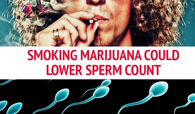 Smoking weed lowers sperm count