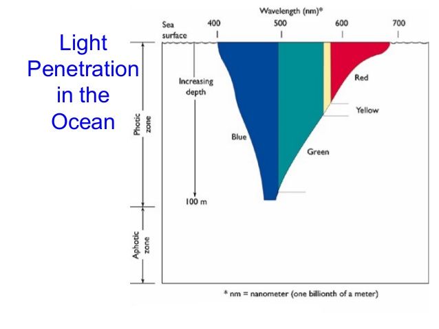 Radar reccomend Color penetration in the ocean