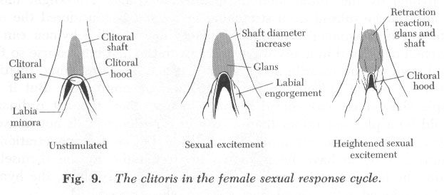 best of Real Clitoris stimulation