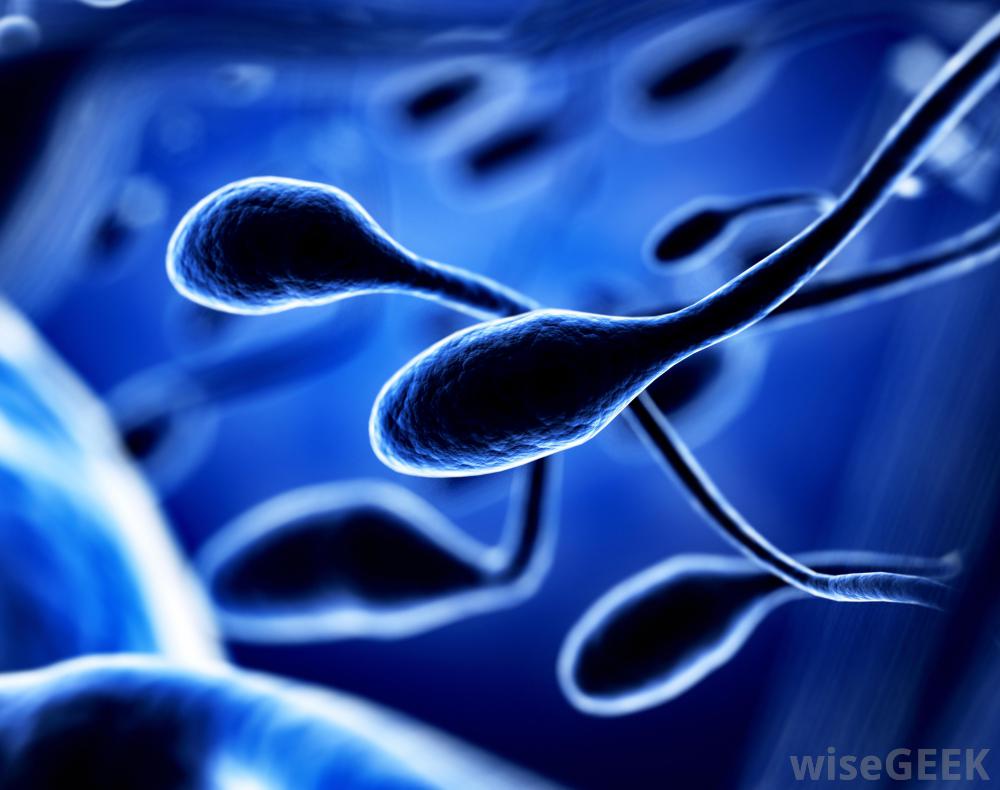 best of Much acid sperm and folic How
