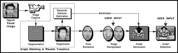 Facial recognition algorithms