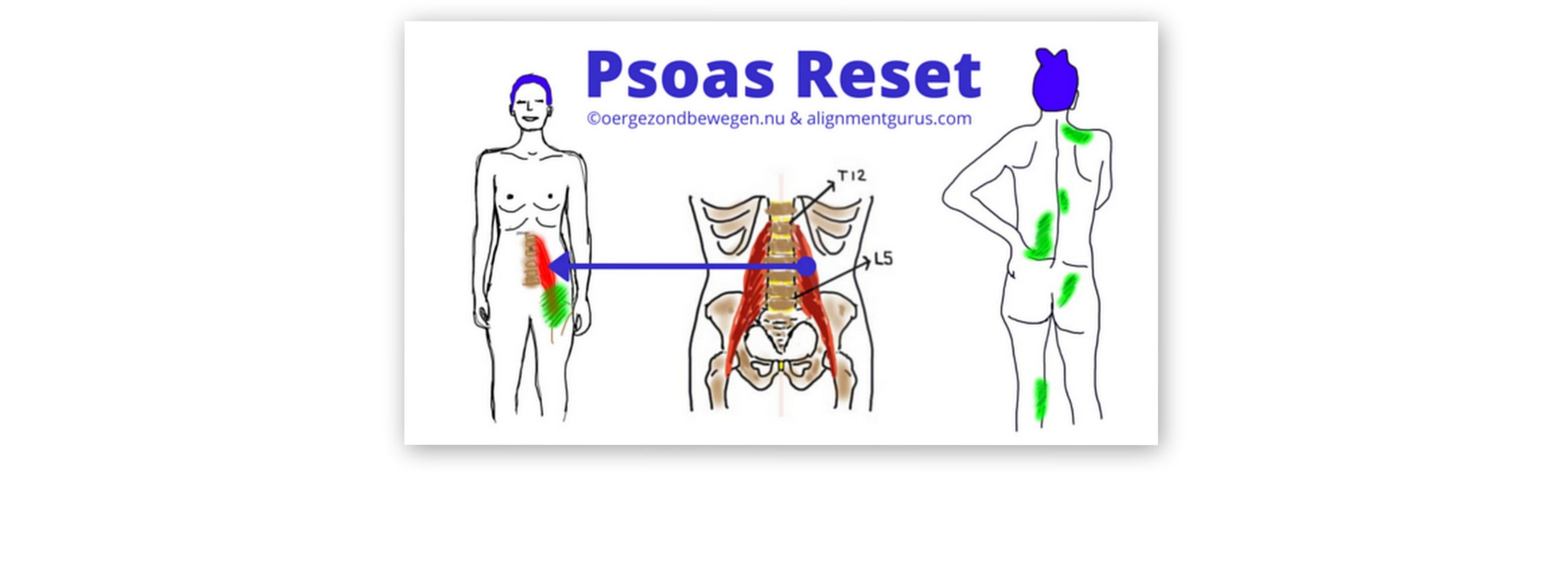 best of Muscle orgasm Psoas
