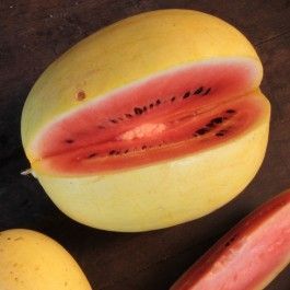 best of Hampshire midget watermelon New