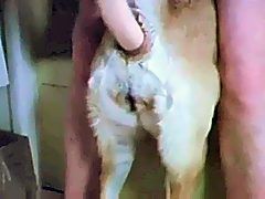 Porn beastality bestiality videos