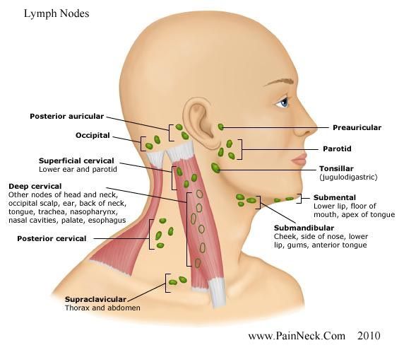 Quirk reccomend Infected facial lymph node