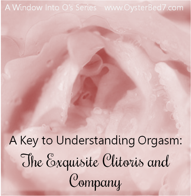 Orgasm and understanding