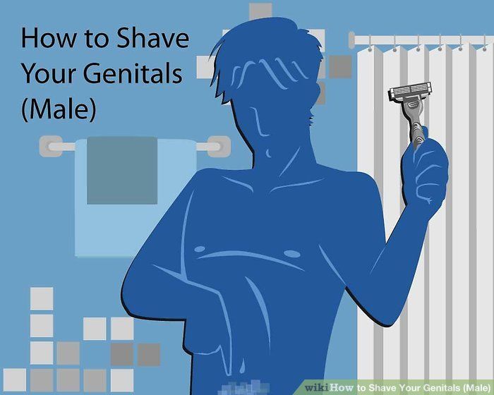 Shaved genitals
