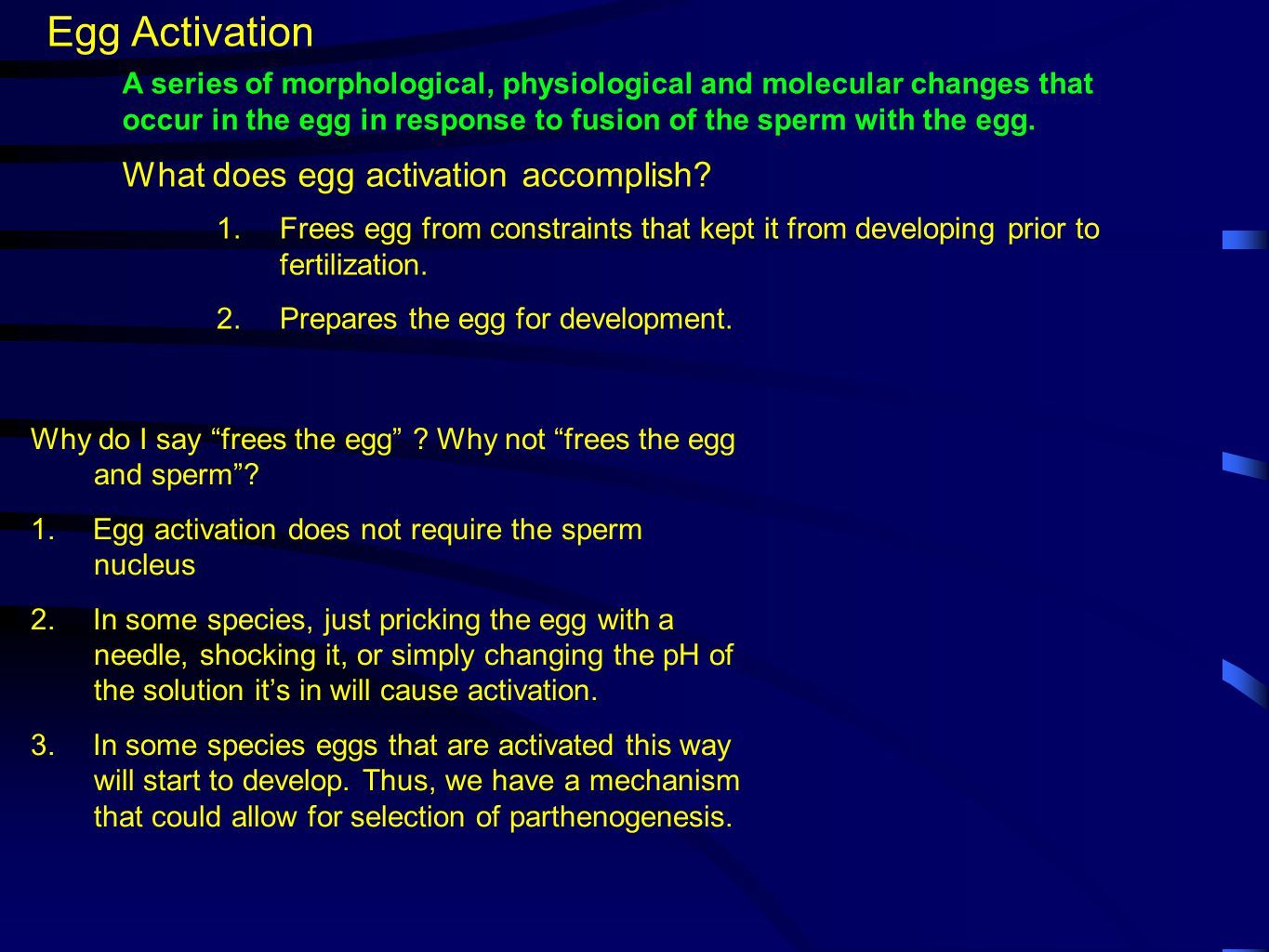 best of Developing egg not Sperm and