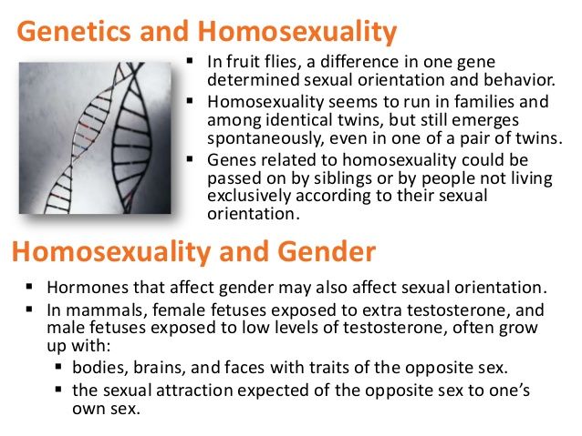 Twins and sexual orientation and genes